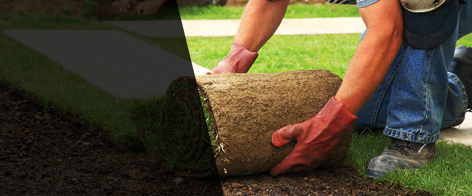 Linthicum Heights Landscapers